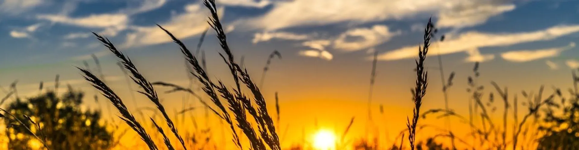 Photovoltaik SoLA GmbH cover