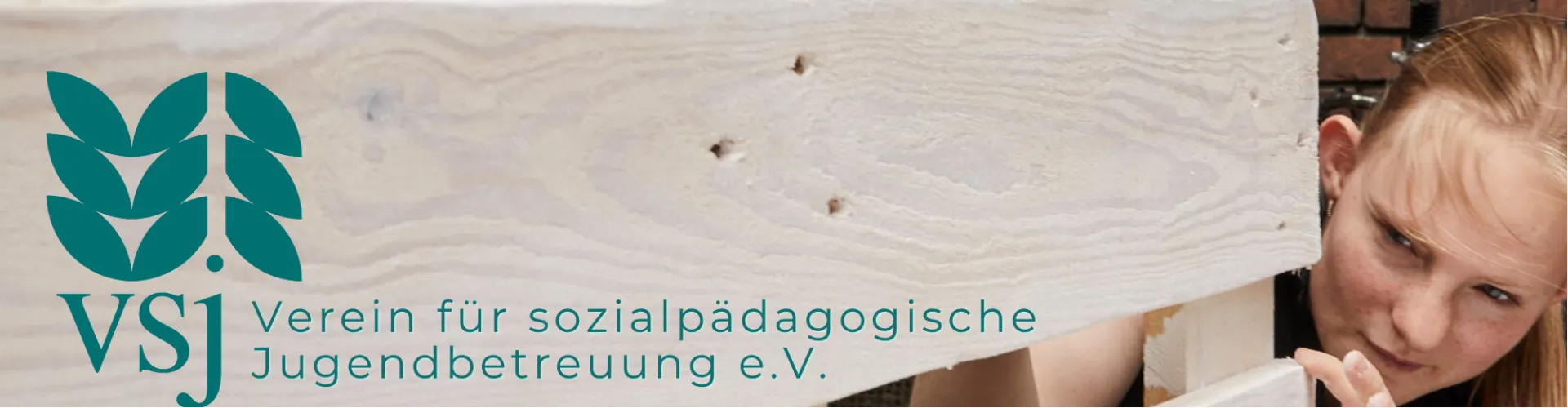 vsj Verein für sozialpädagogische Jugendbetreuung e.V. cover
