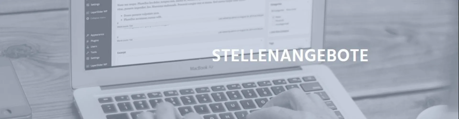 WOLF Ingenieurgesellschaft mbH cover