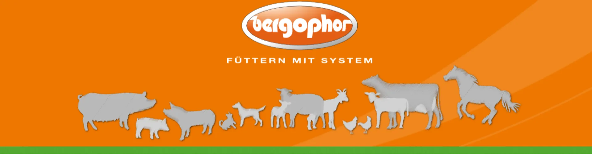 Bergophor GmbH cover