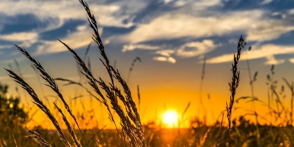 Photovoltaik SoLA GmbH